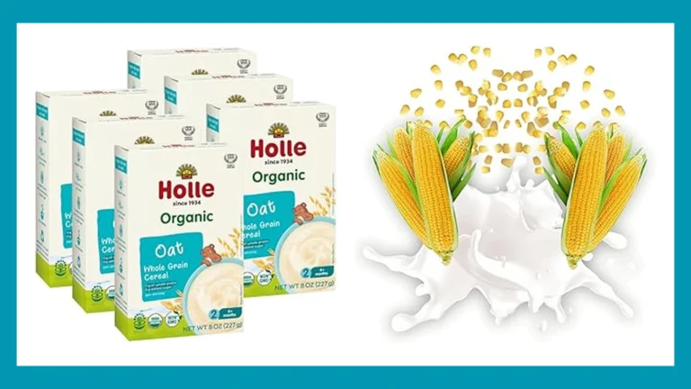 Top 5 Best Rice Cereals for Babies Free From Arsenic