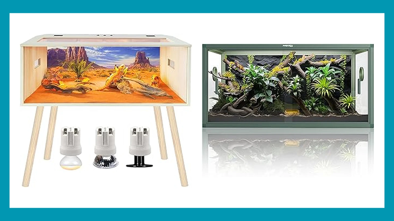 The Ultimate Guide to the Best Size Tank for a Bearded Dragon