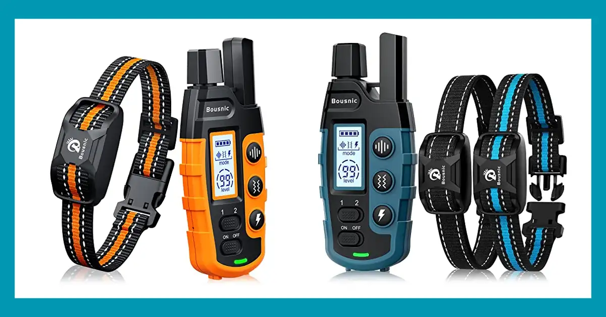 Top 10 Best Shock Collars for Australian Shepherds Reviewed