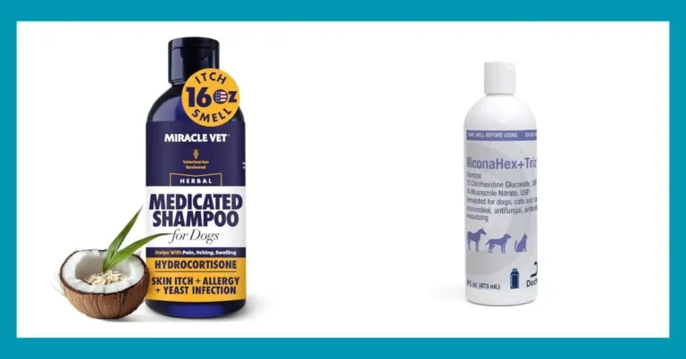 Top 10 Best Dog Shampoo for Yeast: Reviews and Insights