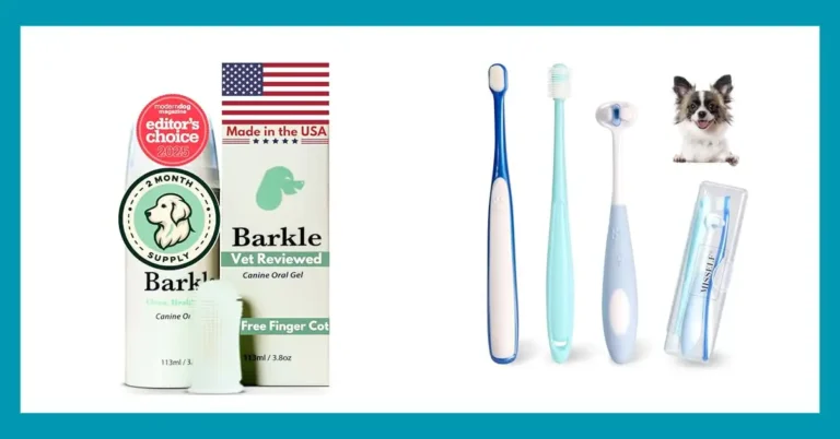 Top 10 Best Dog Toothbrush for Small Dogs Reviewed