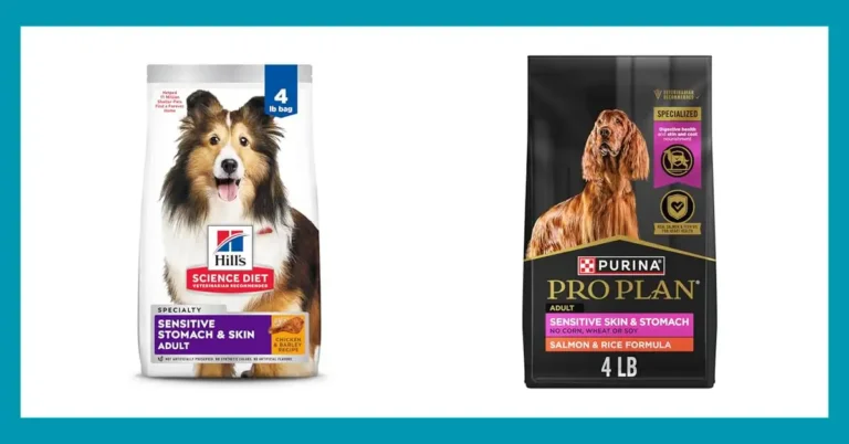 Top 10 Picks for the Best Dog Kibble for Sensitive Stomachs