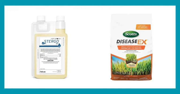 Top 10 Reviews of the Best Fungicide for Pythium Blight