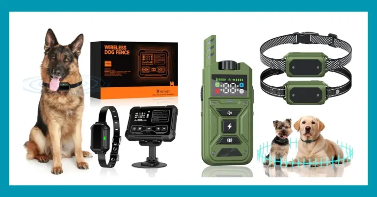 Top 10 Reviews of the Best Wireless Dog Fence System