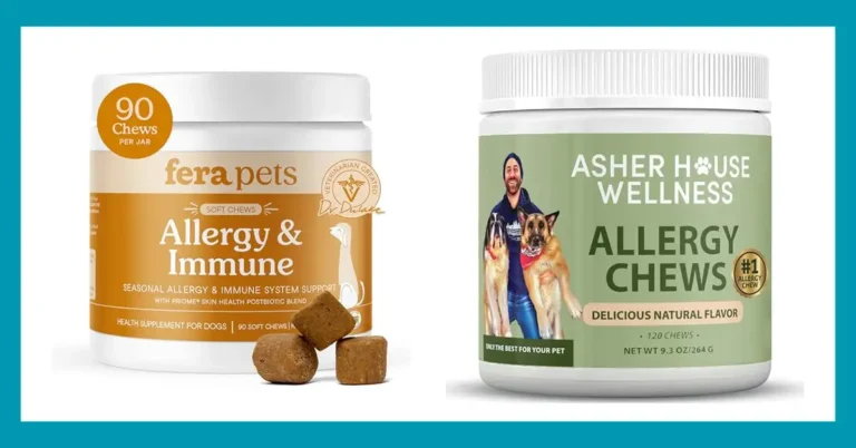 Top 10 Picks for the Best Otc Dog Allergy Medicine